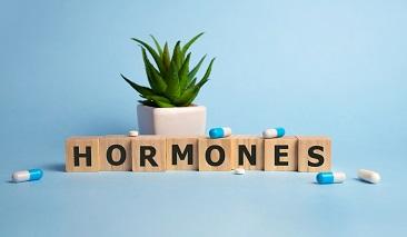 Hormone Health - The Foundation of Well-Being